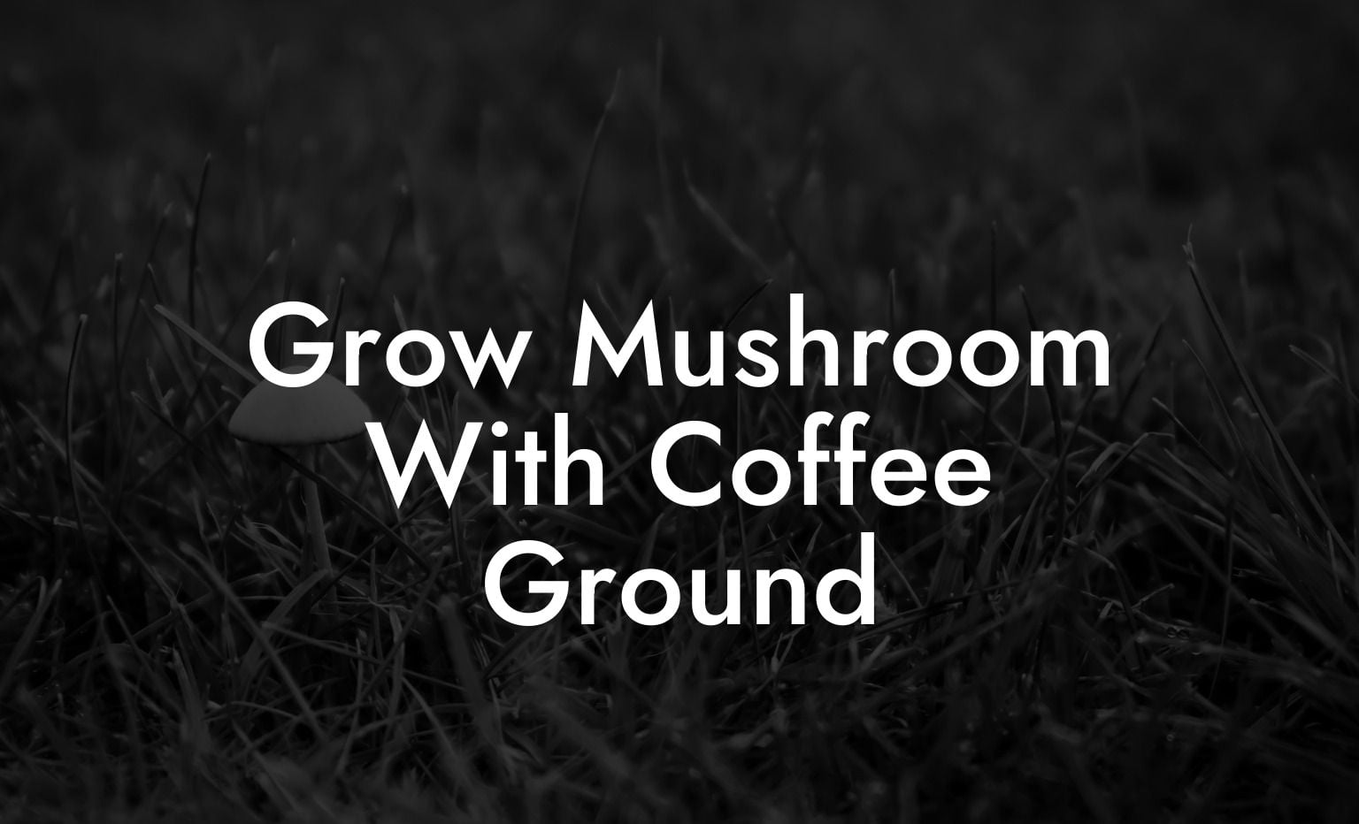 Grow Mushroom With Coffee Ground