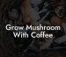 Grow Mushroom With Coffee