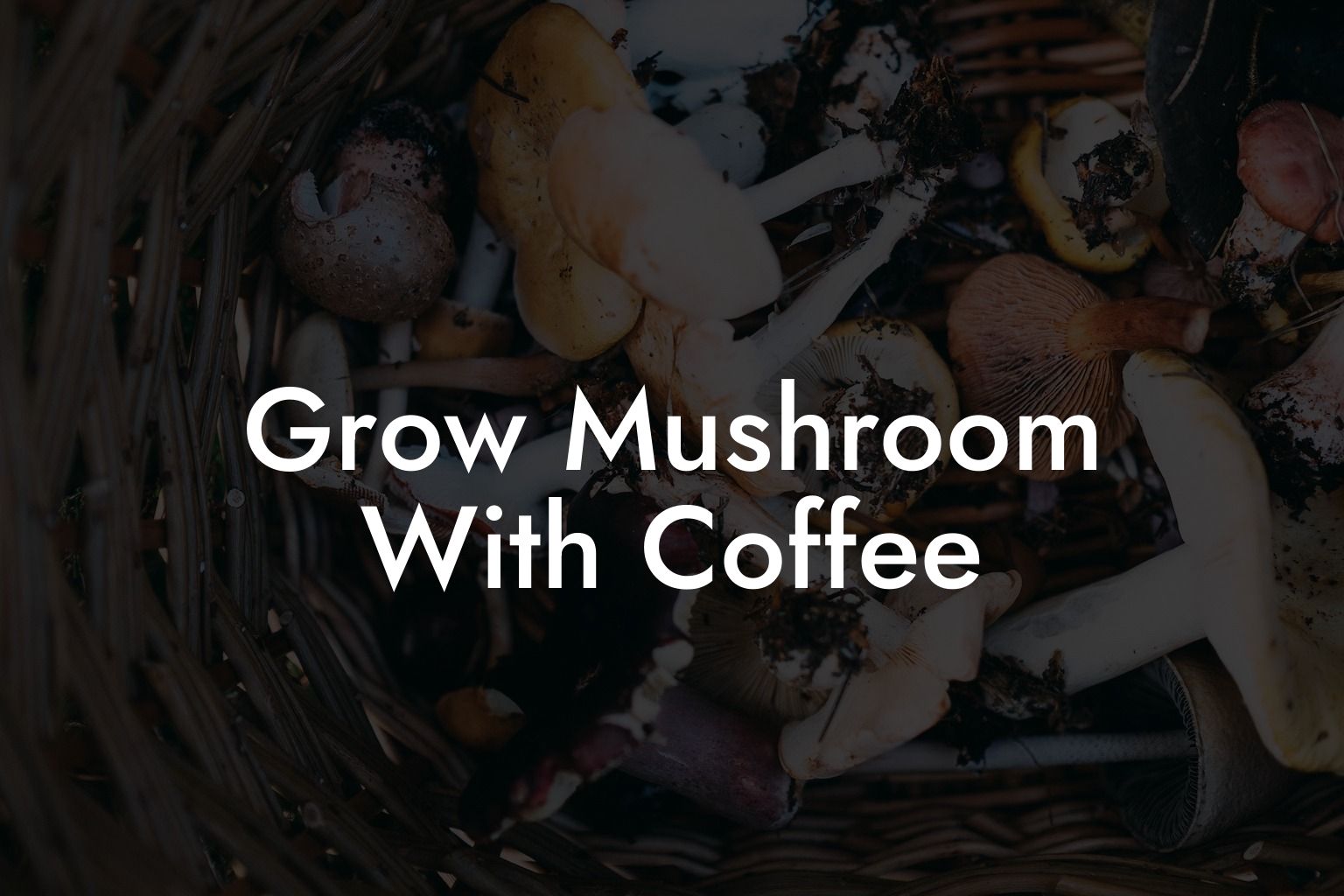 Grow Mushroom With Coffee