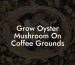 Grow Oyster Mushroom On Coffee Grounds