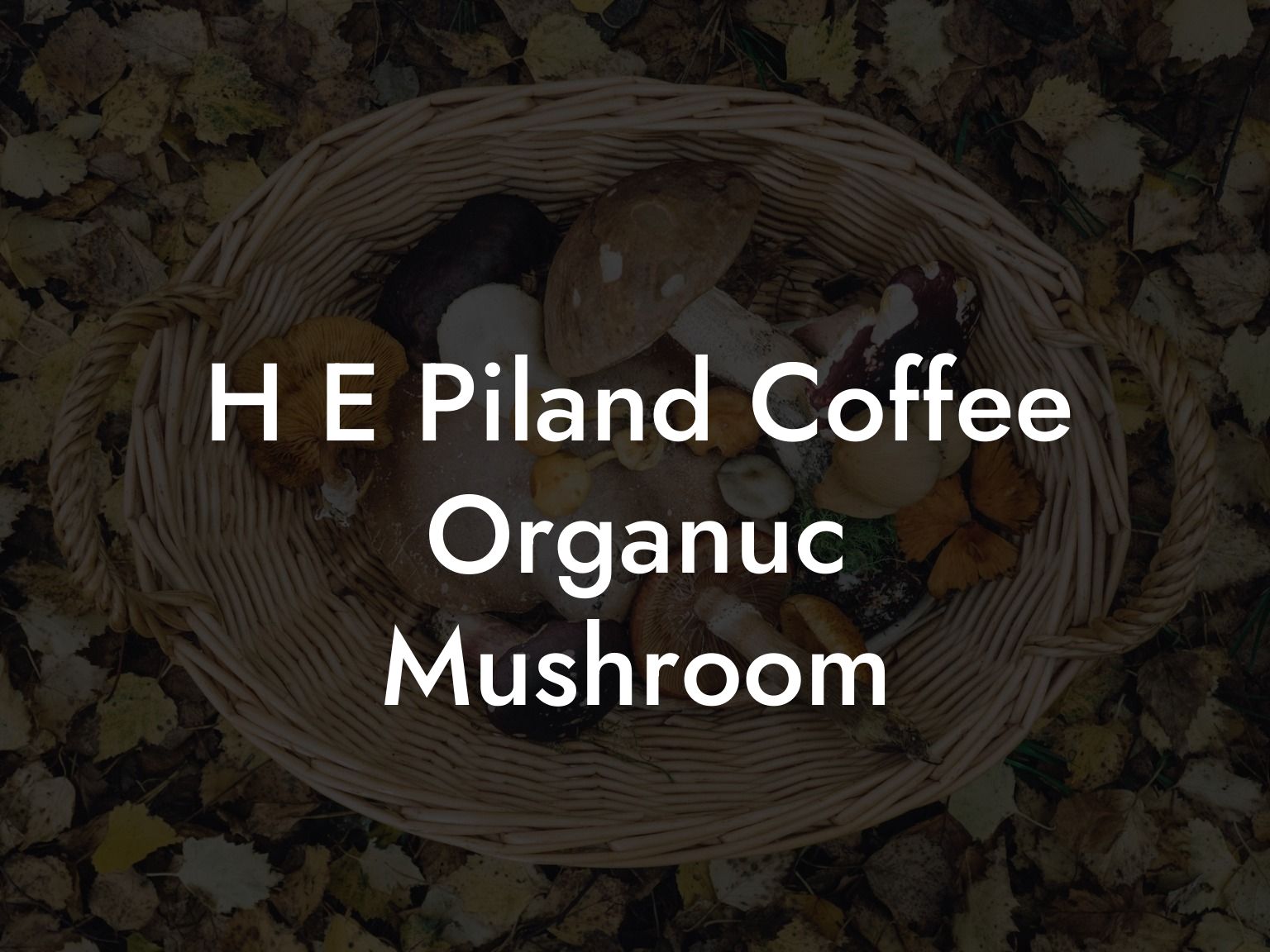 H E Piland Coffee Organuc Mushroom