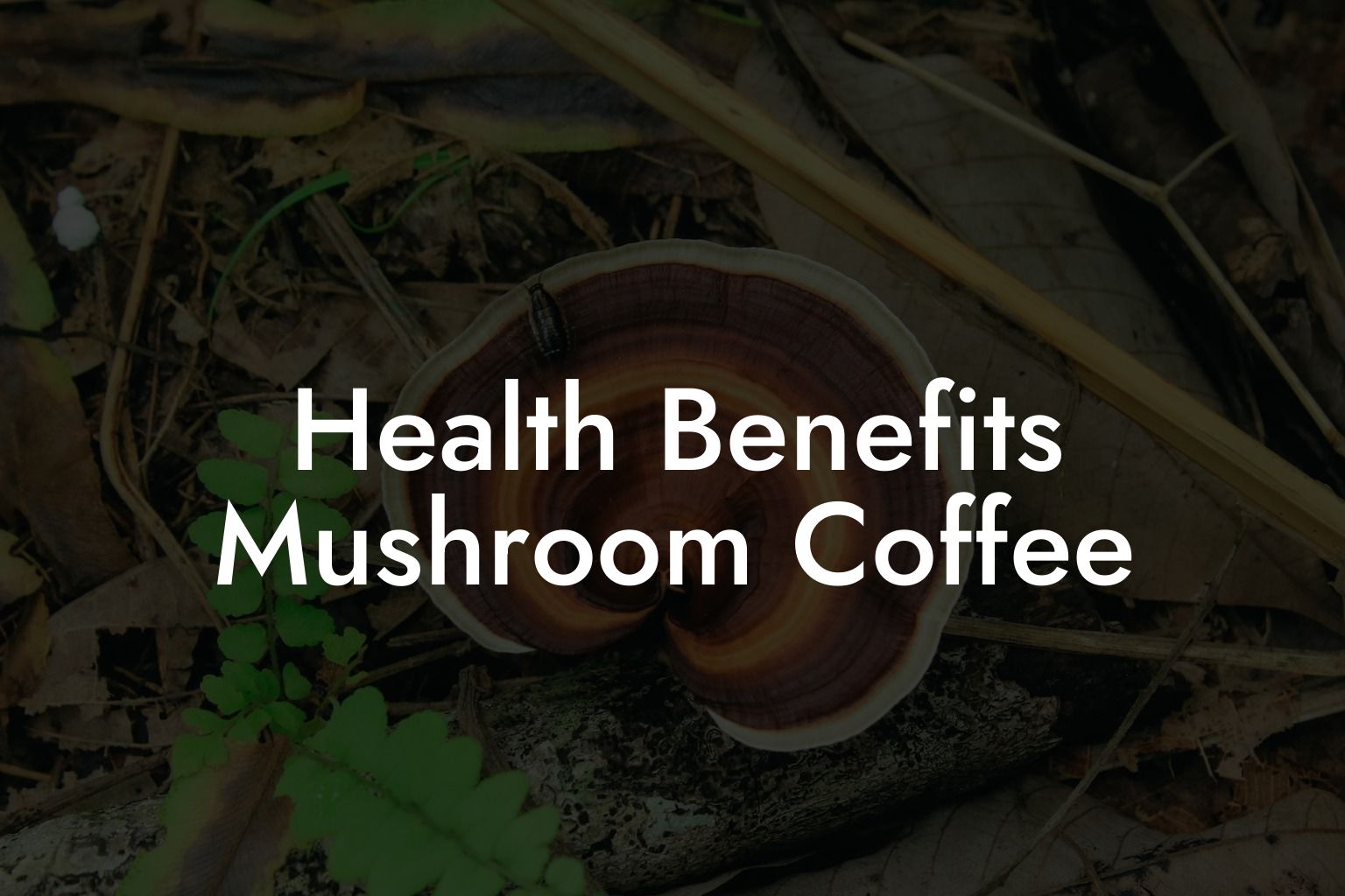 Health Benefits Mushroom Coffee