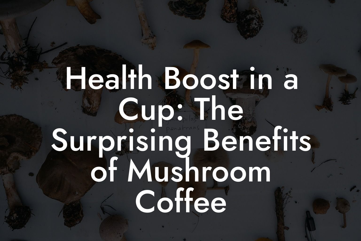 Health Boost in a Cup: The Surprising Benefits of Mushroom Coffee