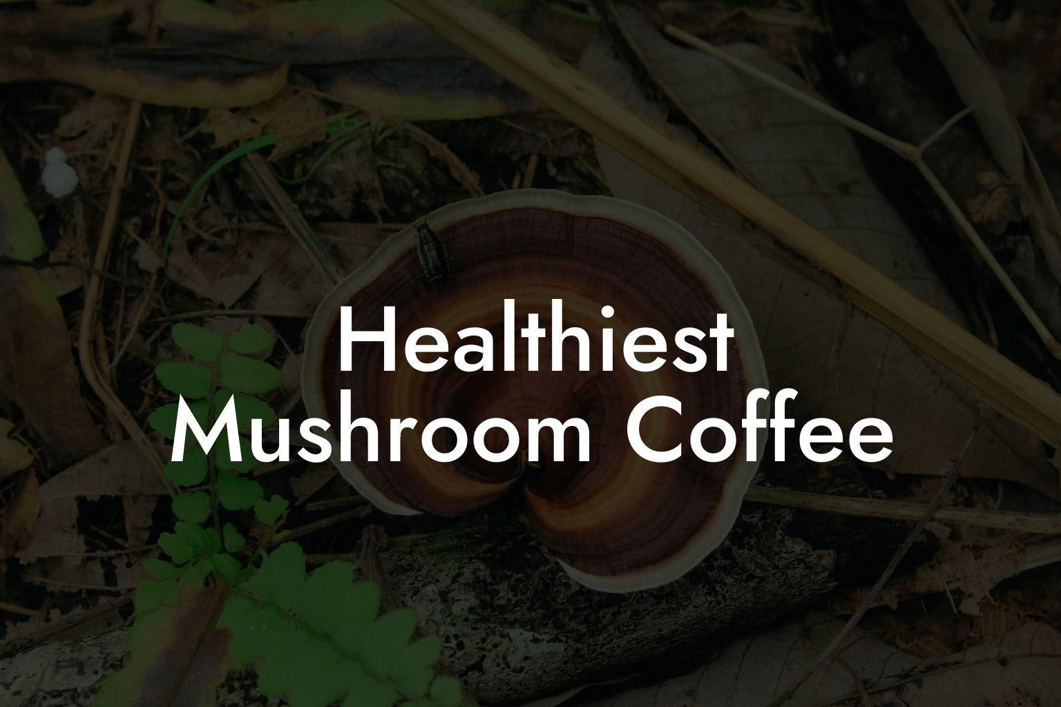 Healthiest Mushroom Coffee