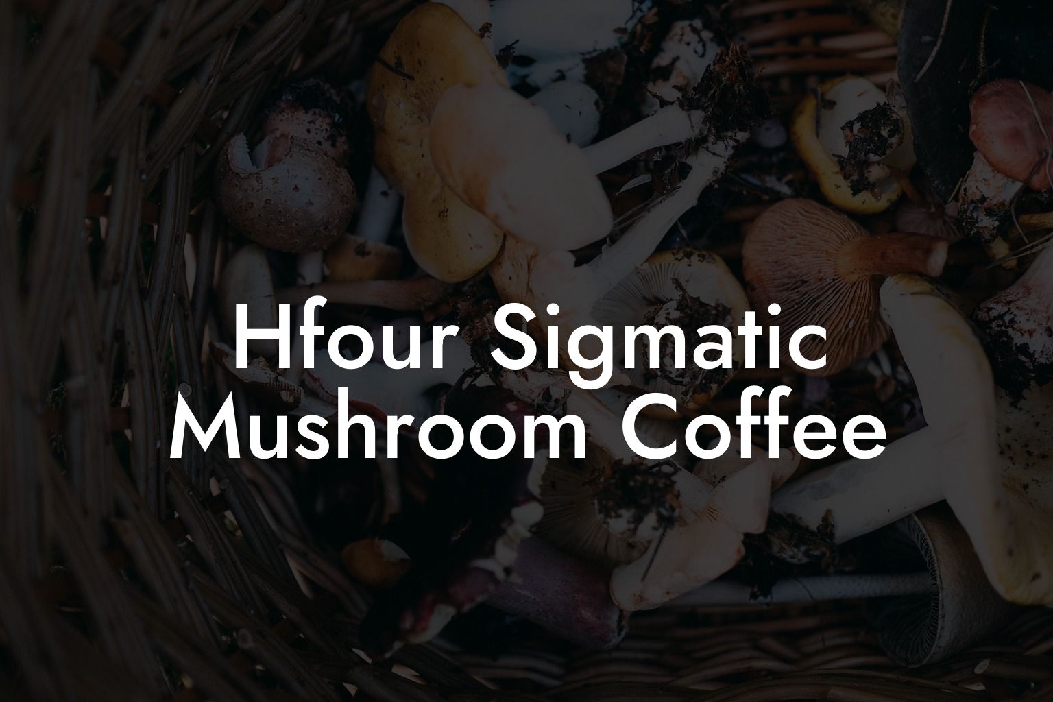 Hfour Sigmatic Mushroom Coffee