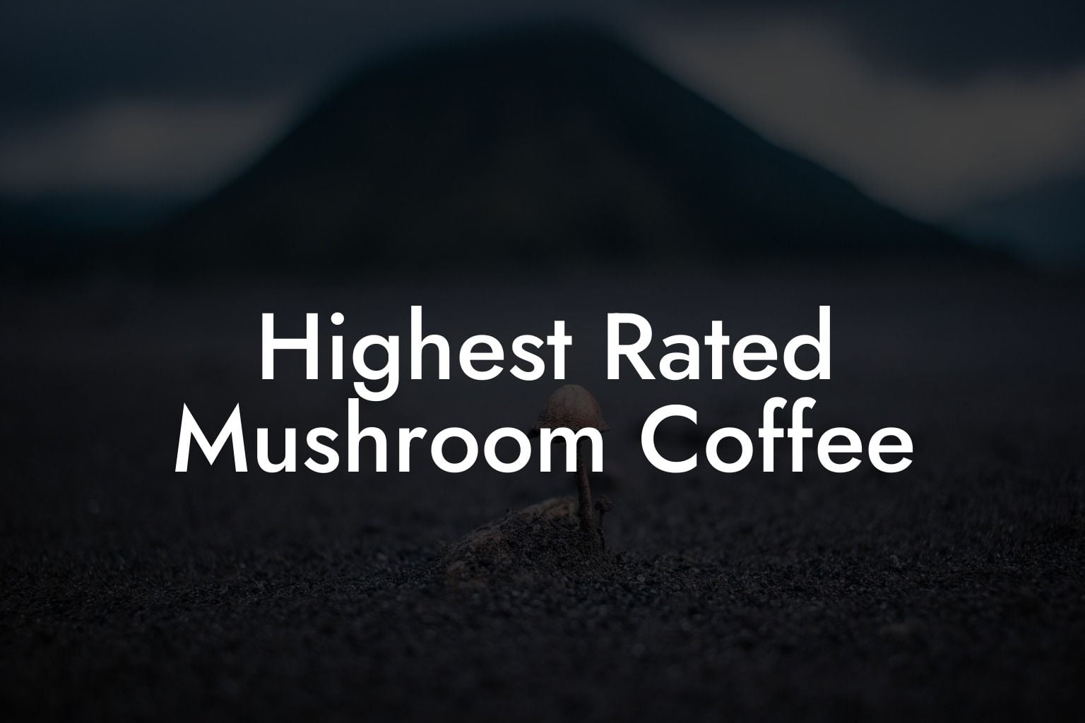 Highest Rated Mushroom Coffee