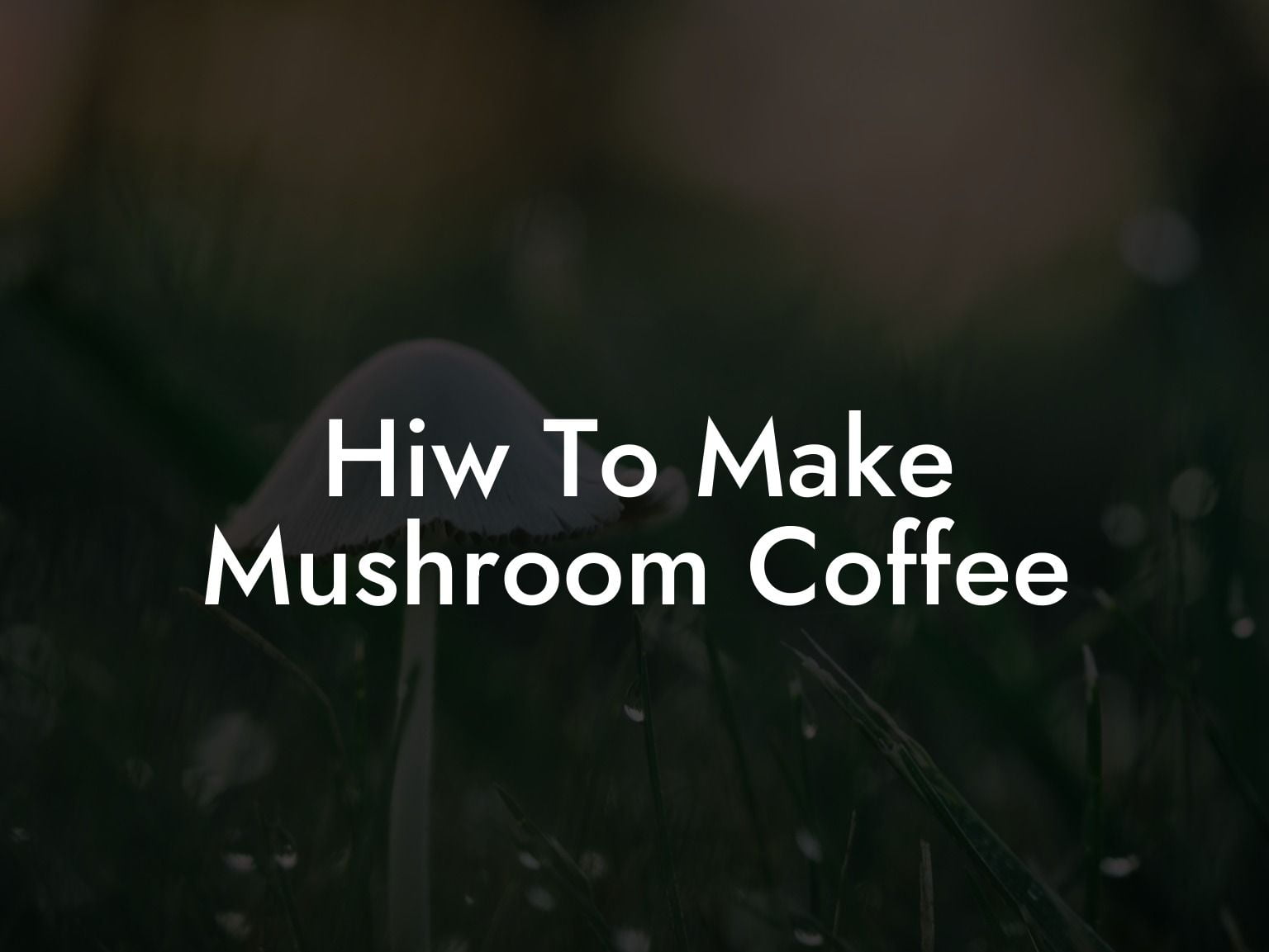 Hiw To Make Mushroom Coffee