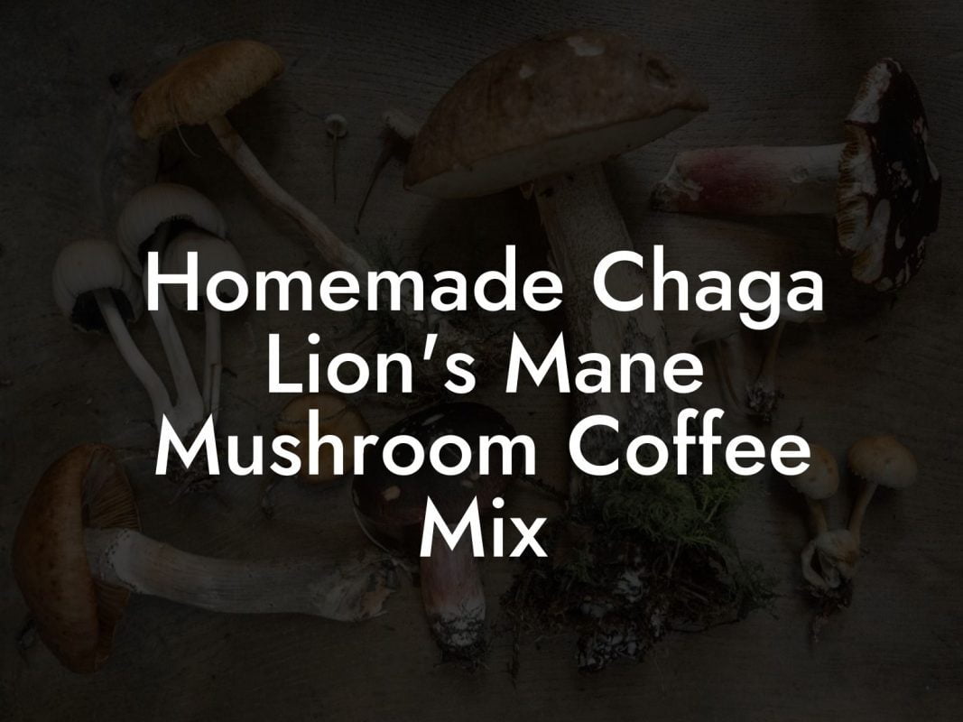 Homemade Chaga Lion's Mane Mushroom Coffee Mix