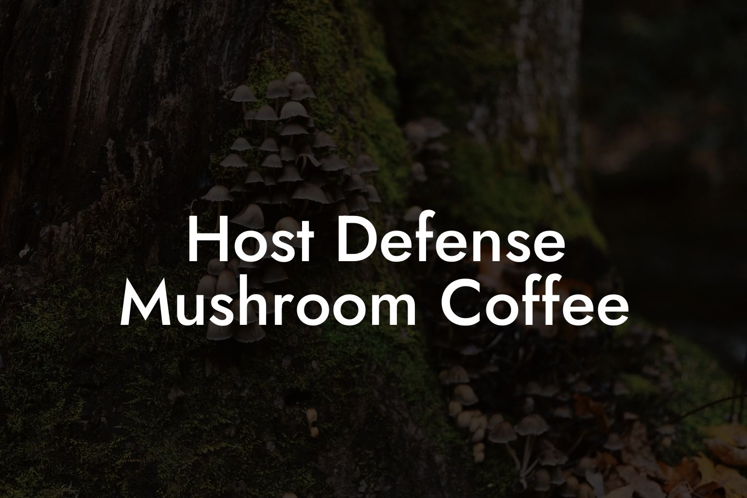 Host Defense Mushroom Coffee