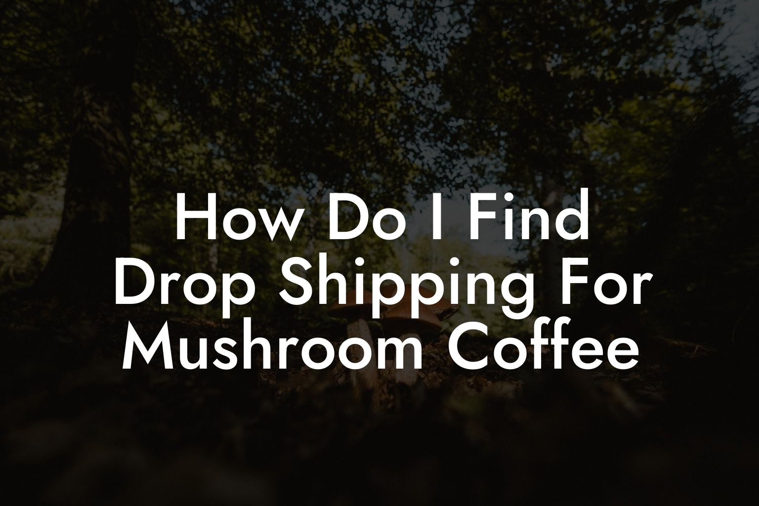 How Do I Find Drop Shipping For Mushroom Coffee