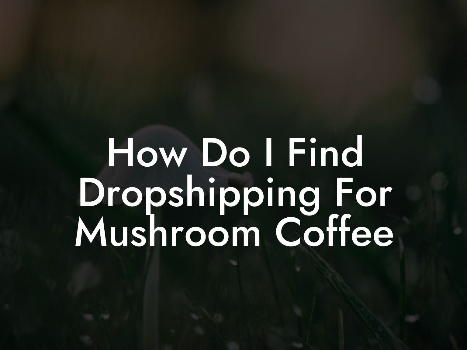 How Do I Find Dropshipping For Mushroom Coffee