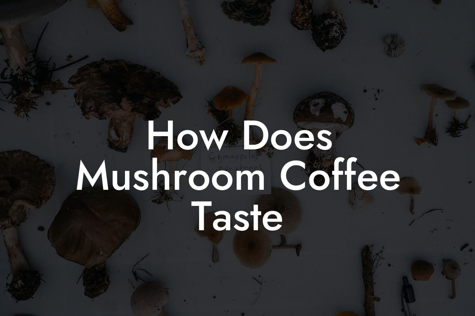 How Does Mushroom Coffee Taste