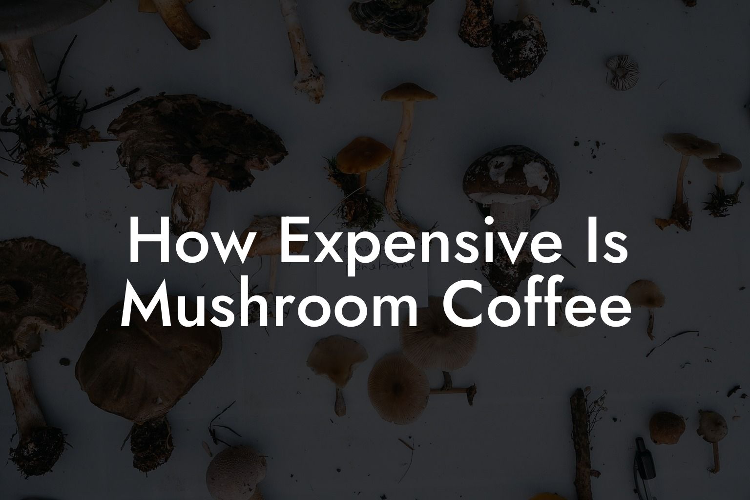 How Expensive Is Mushroom Coffee