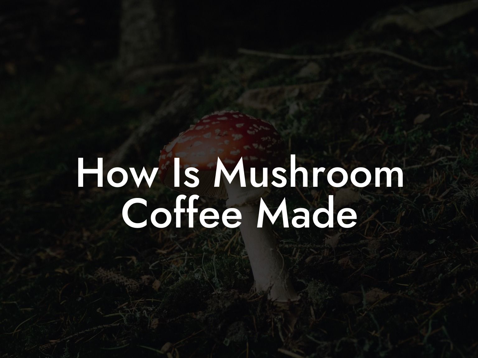 How Is Mushroom Coffee Made