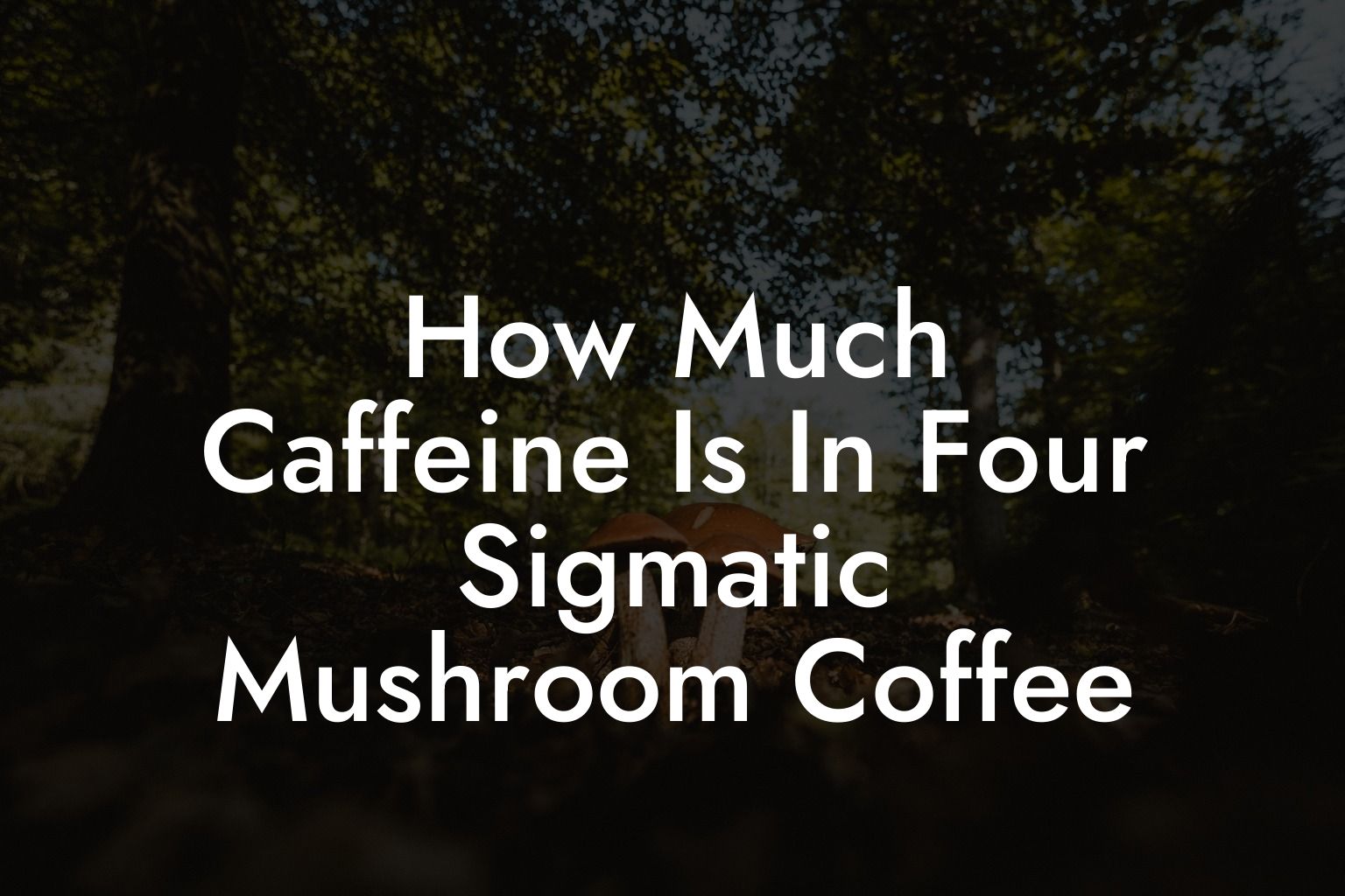 How Much Caffeine Is In Four Sigmatic Mushroom Coffee