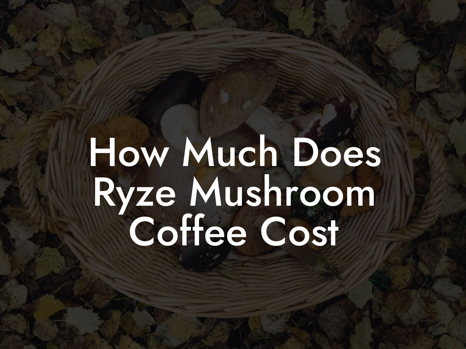 How Much Does Ryze Mushroom Coffee Cost