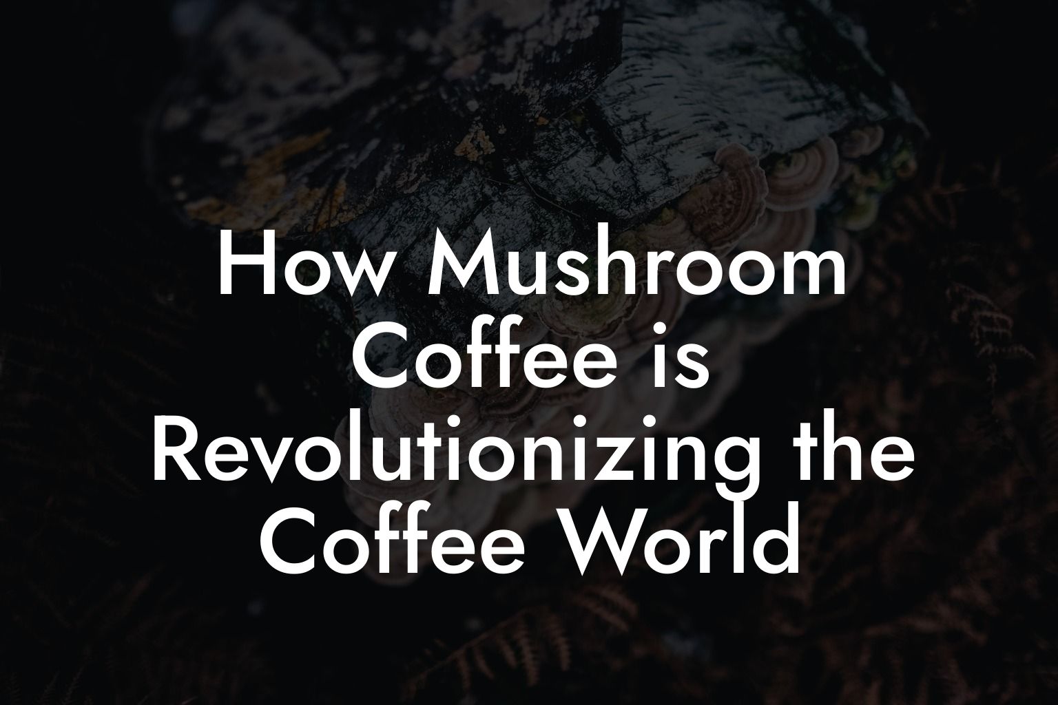 How Mushroom Coffee is Revolutionizing the Coffee World