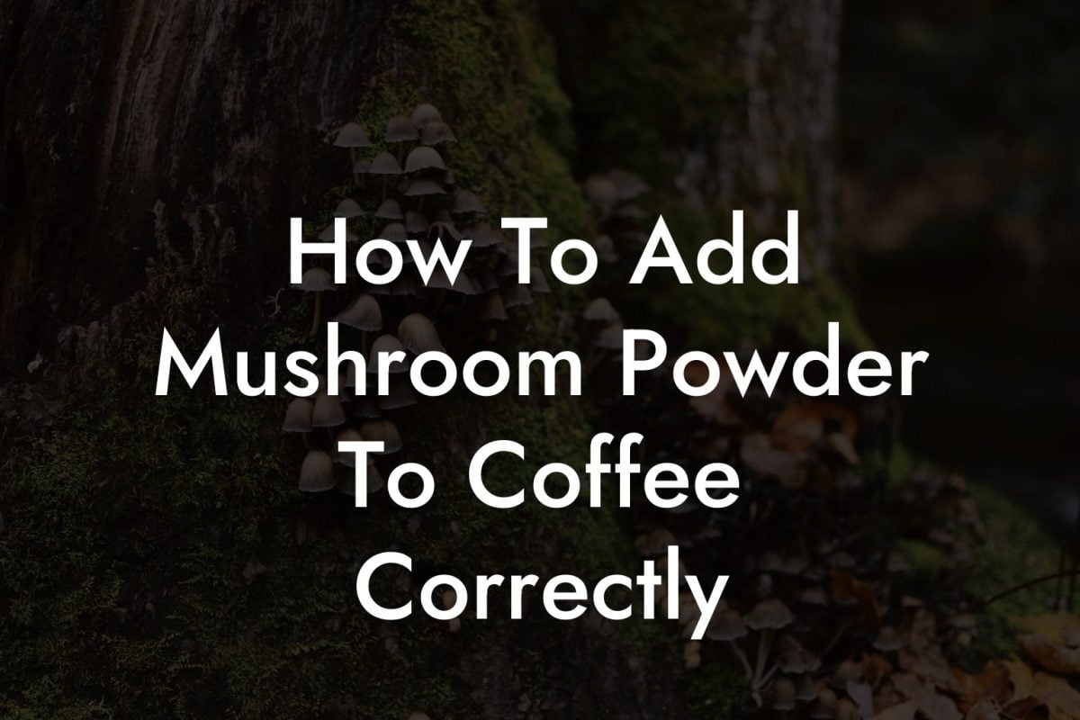 How To Add Mushroom Powder To Coffee Correctly