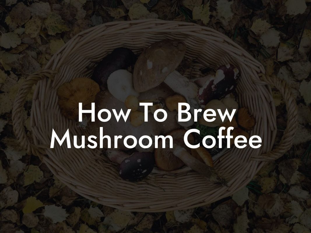 How To Brew Mushroom Coffee