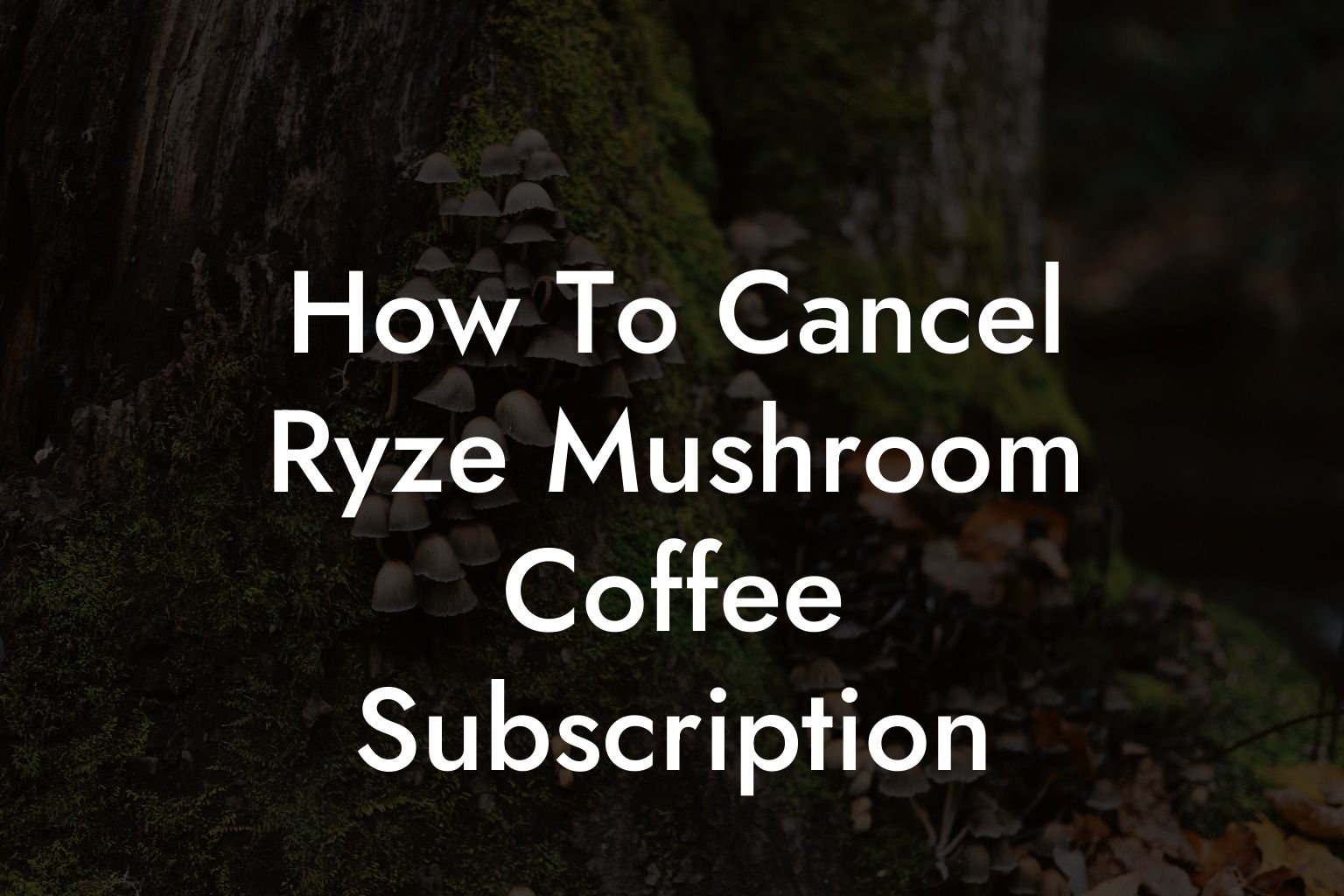 How To Cancel Ryze Mushroom Coffee Subscription