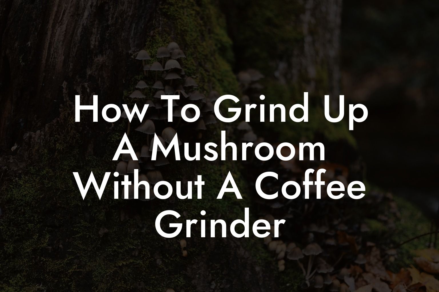 How To Grind Up A Mushroom Without A Coffee Grinder