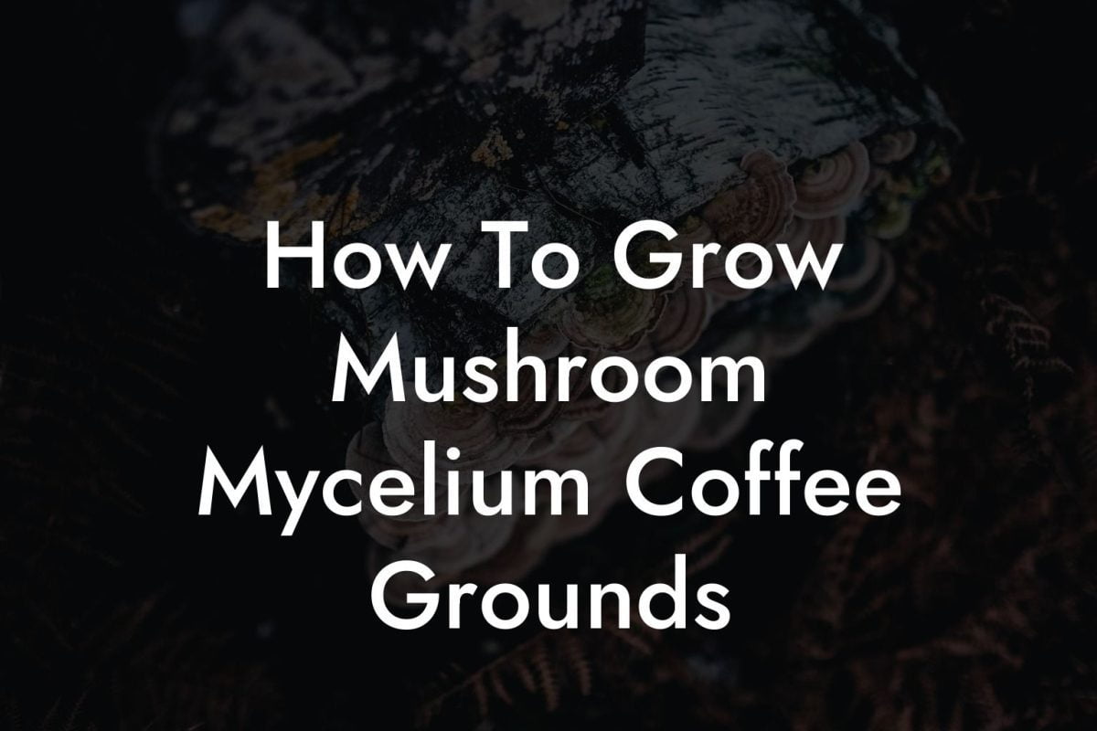 How To Grow Mushroom Mycelium Coffee Grounds
