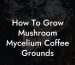 How To Grow Mushroom Mycelium Coffee Grounds