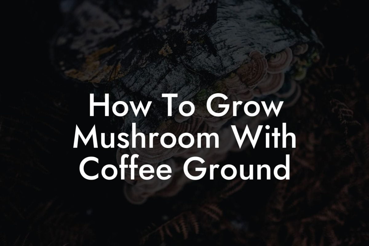 How To Grow Mushroom With Coffee Ground