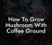 How To Grow Mushroom With Coffee Ground
