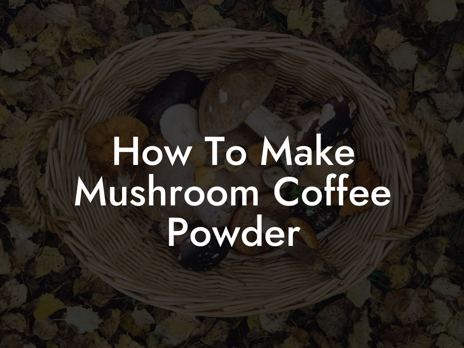 How To Make Mushroom Coffee Powder