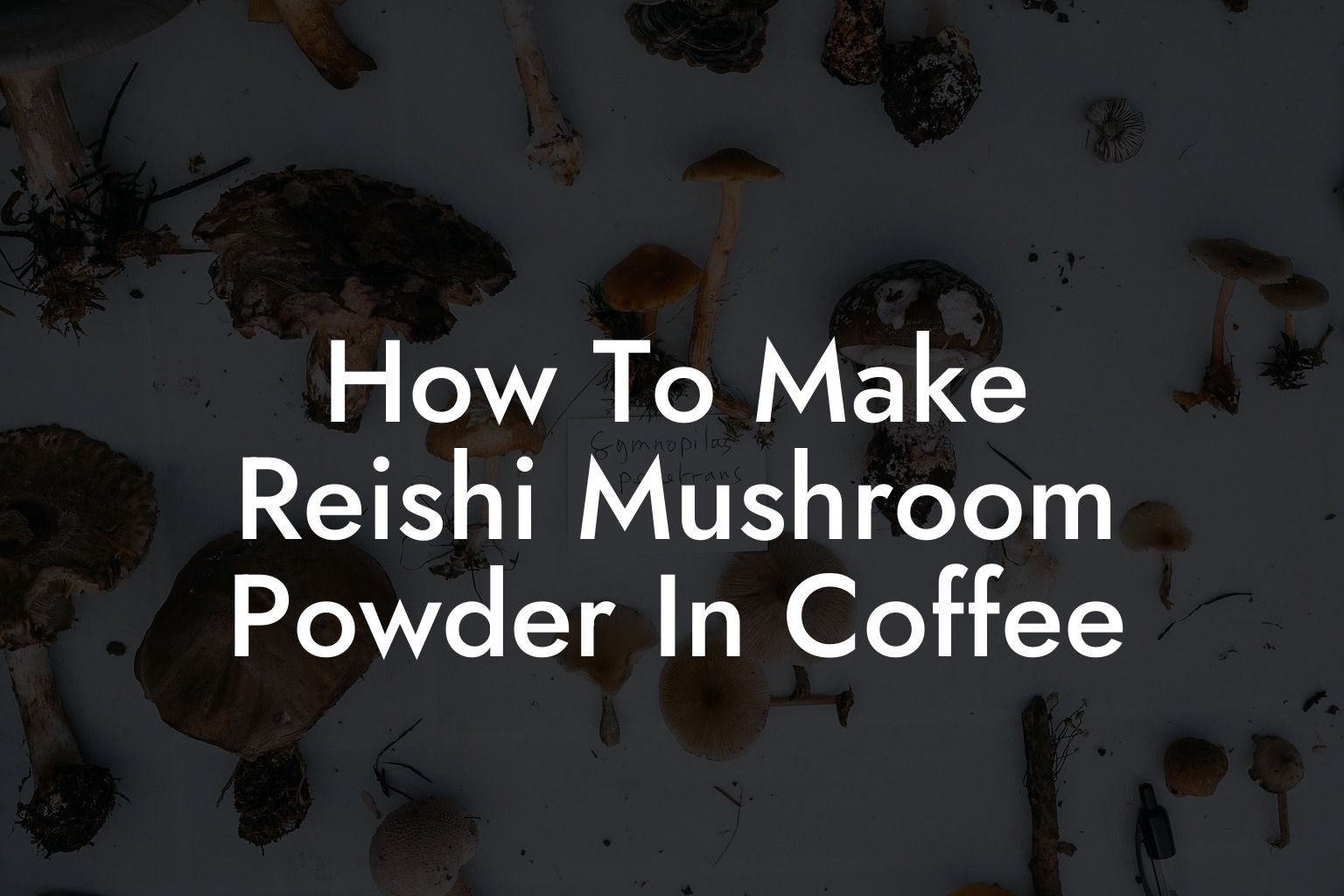 How To Make Reishi Mushroom Powder In Coffee