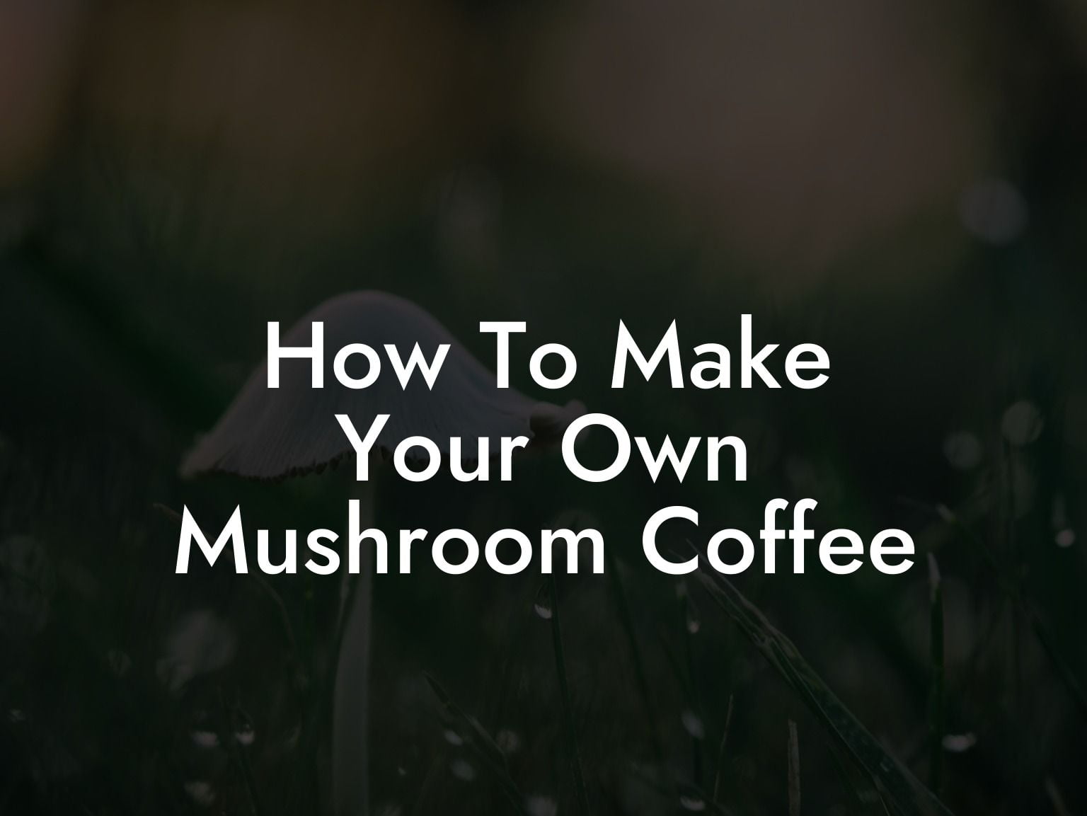 How To Make Your Own Mushroom Coffee
