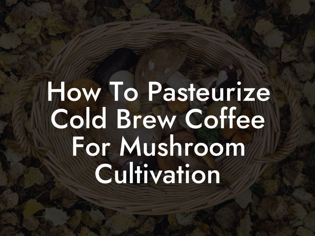 How To Pasteurize Cold Brew Coffee For Mushroom Cultivation