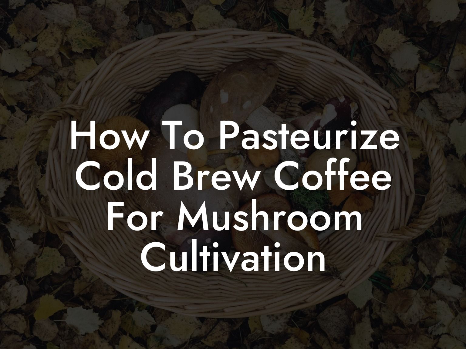 How To Pasteurize Cold Brew Coffee For Mushroom Cultivation