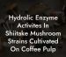 Hydrolic Enzyme Activites In Shiitake Mushroom Strains Cultivated On Coffee Pulp