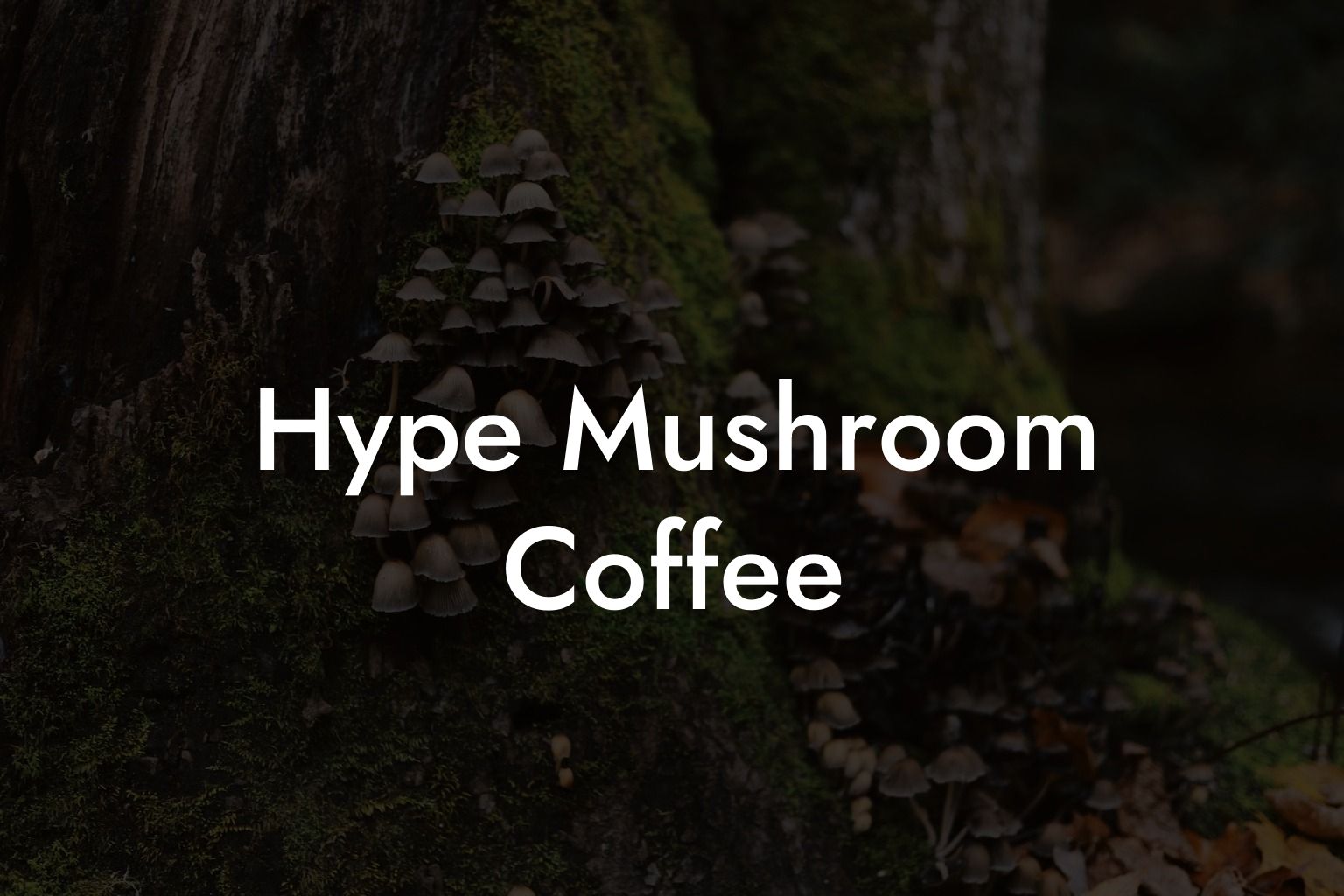 Hype Mushroom Coffee