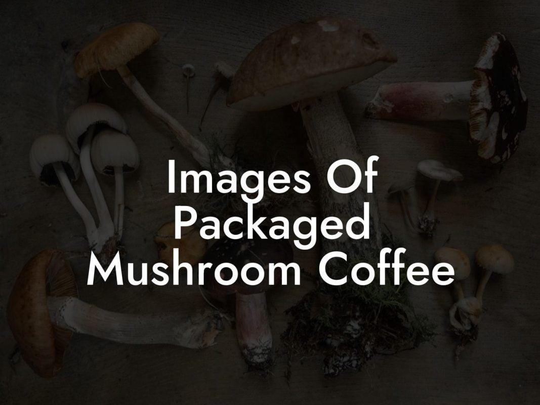 Images Of Packaged Mushroom Coffee