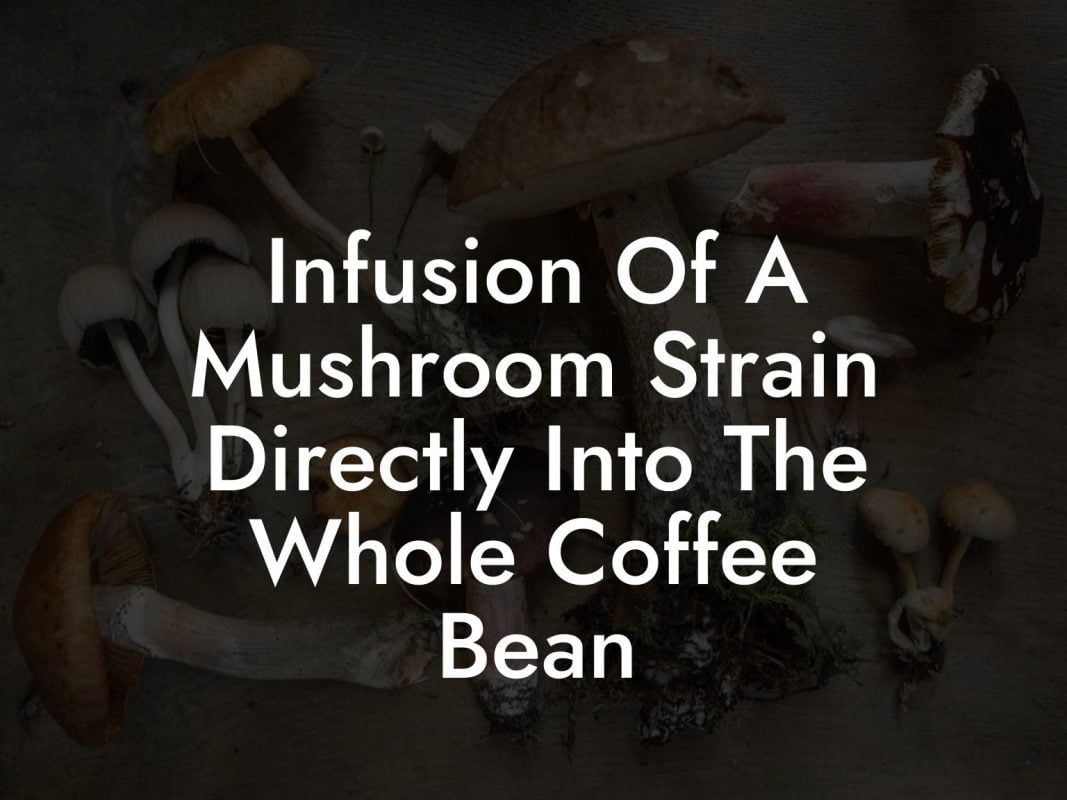 Infusion Of A Mushroom Strain Directly Into The Whole Coffee Bean