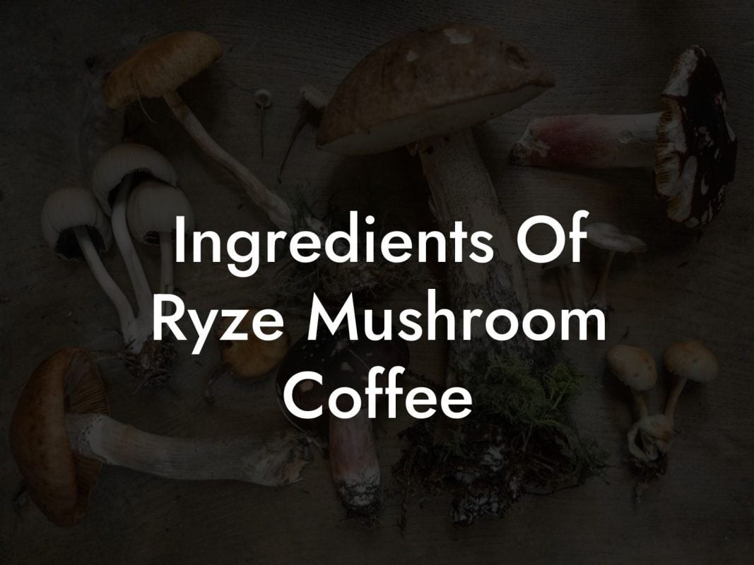 Ingredients Of Ryze Mushroom Coffee
