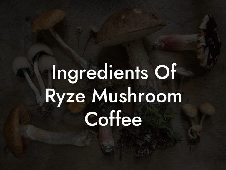 Ingredients Of Ryze Mushroom Coffee Mr Mushroom