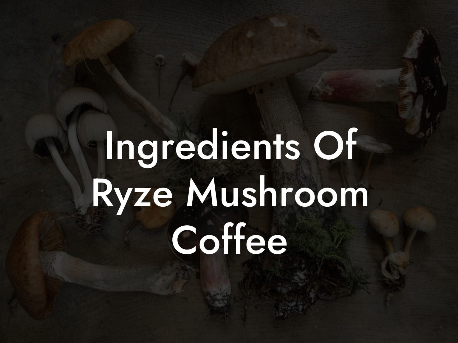 Ingredients Of Ryze Mushroom Coffee