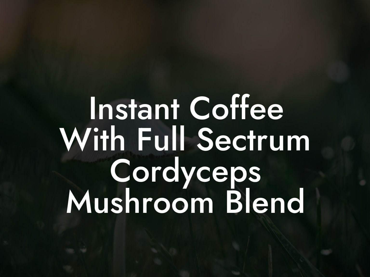 Instant Coffee With Full Sectrum Cordyceps Mushroom Blend