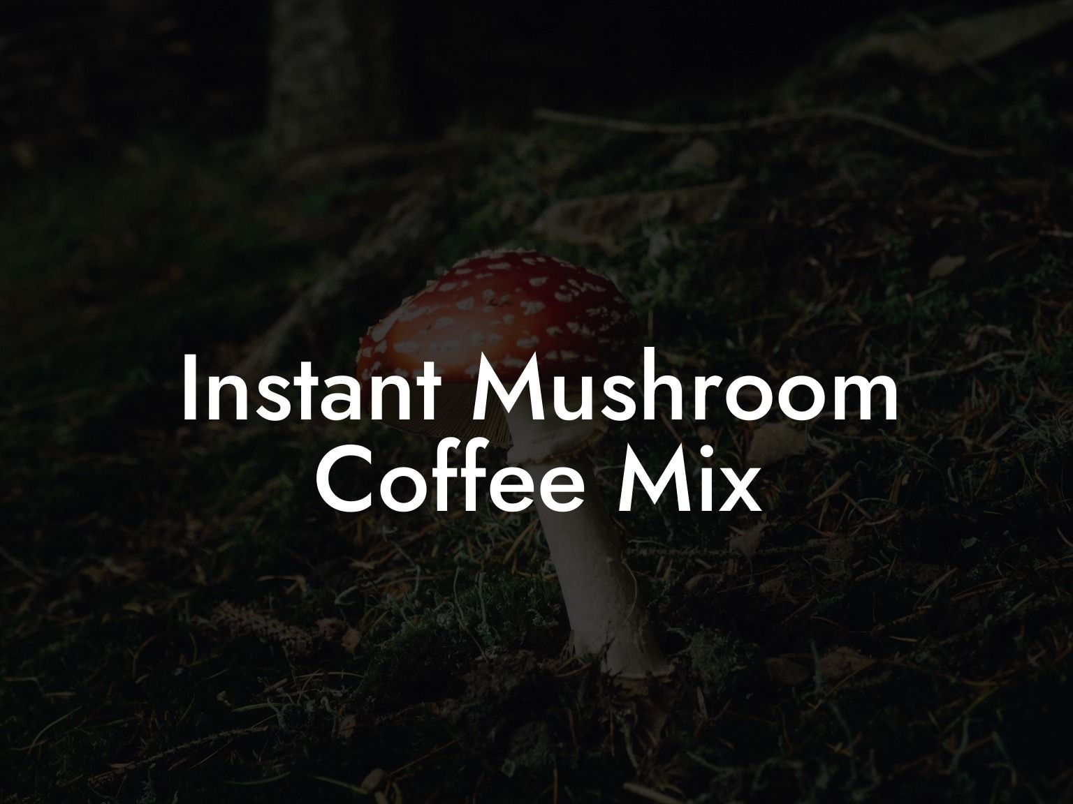 Instant Mushroom Coffee Mix