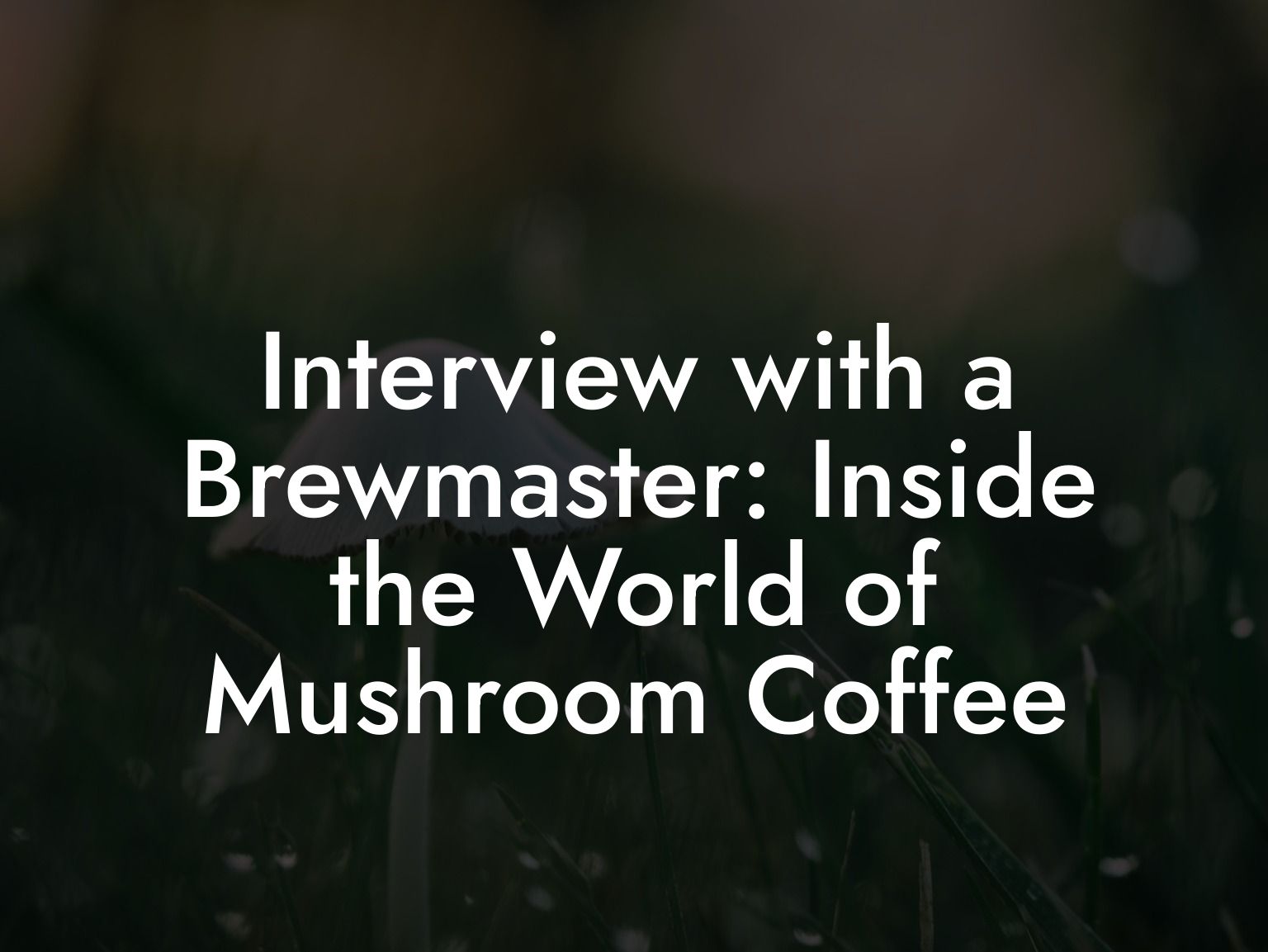 Interview with a Brewmaster: Inside the World of Mushroom Coffee
