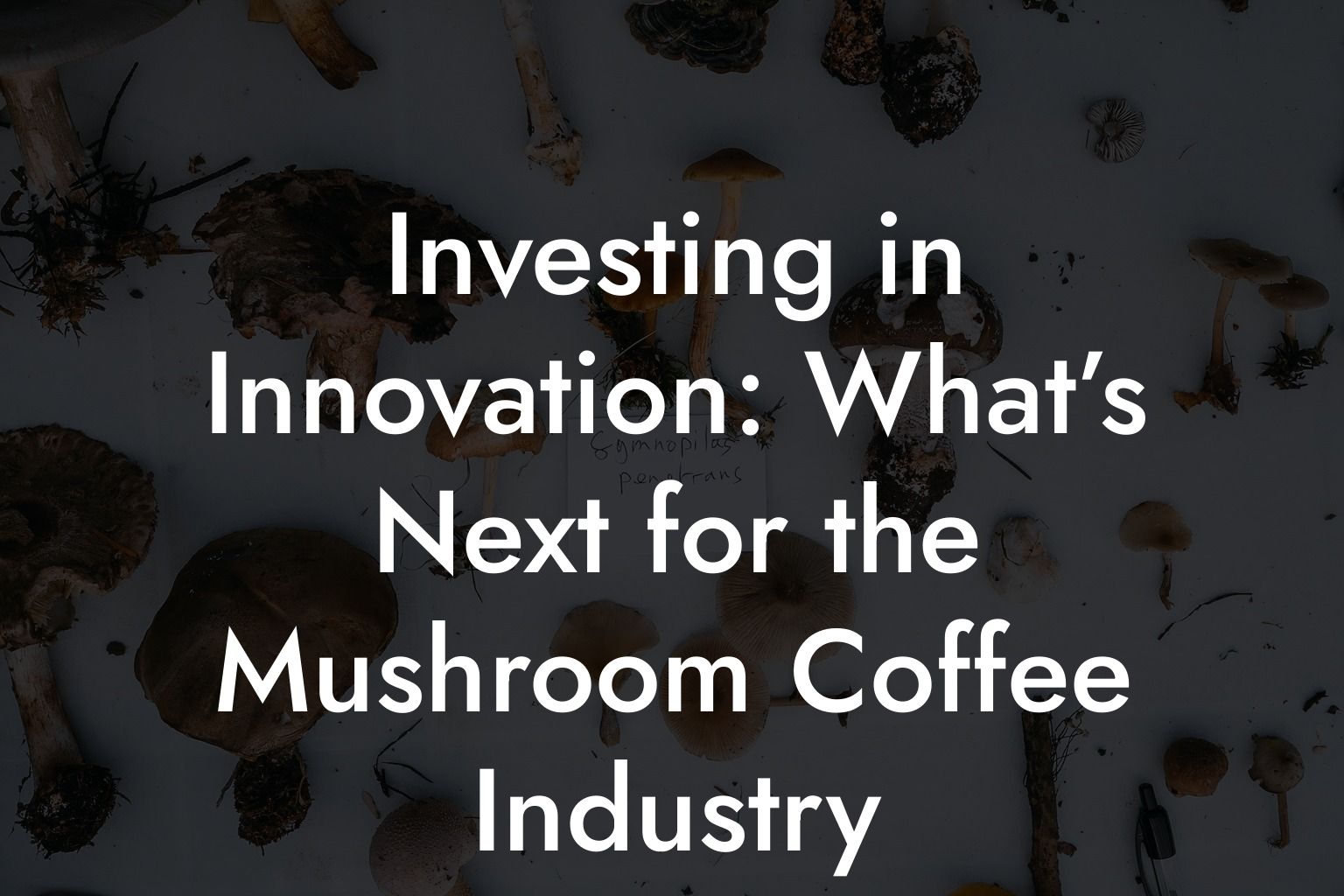 Investing in Innovation: What’s Next for the Mushroom Coffee Industry