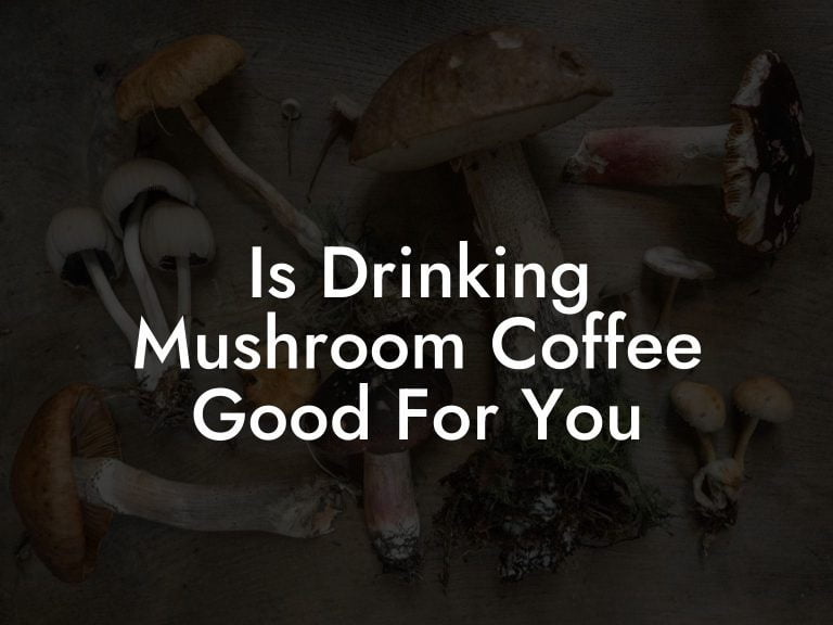 Is Drinking Mushroom Coffee Good For You Mr Mushroom