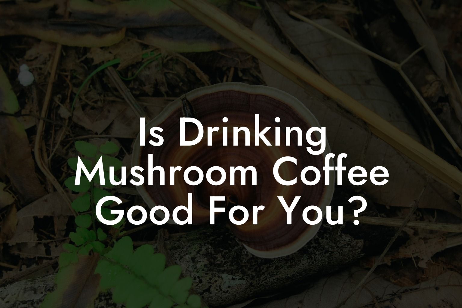 Is Drinking Mushroom Coffee Good For You