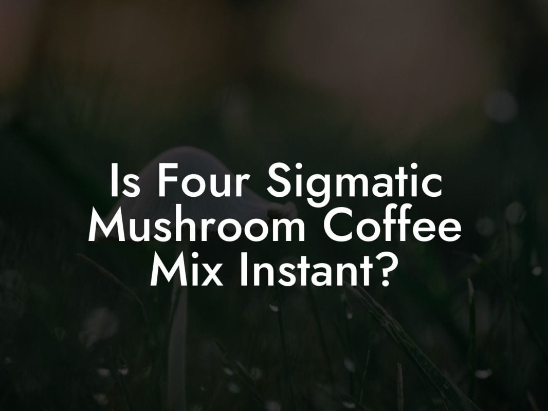 Is Four Sigmatic Mushroom Coffee Mix Instant?