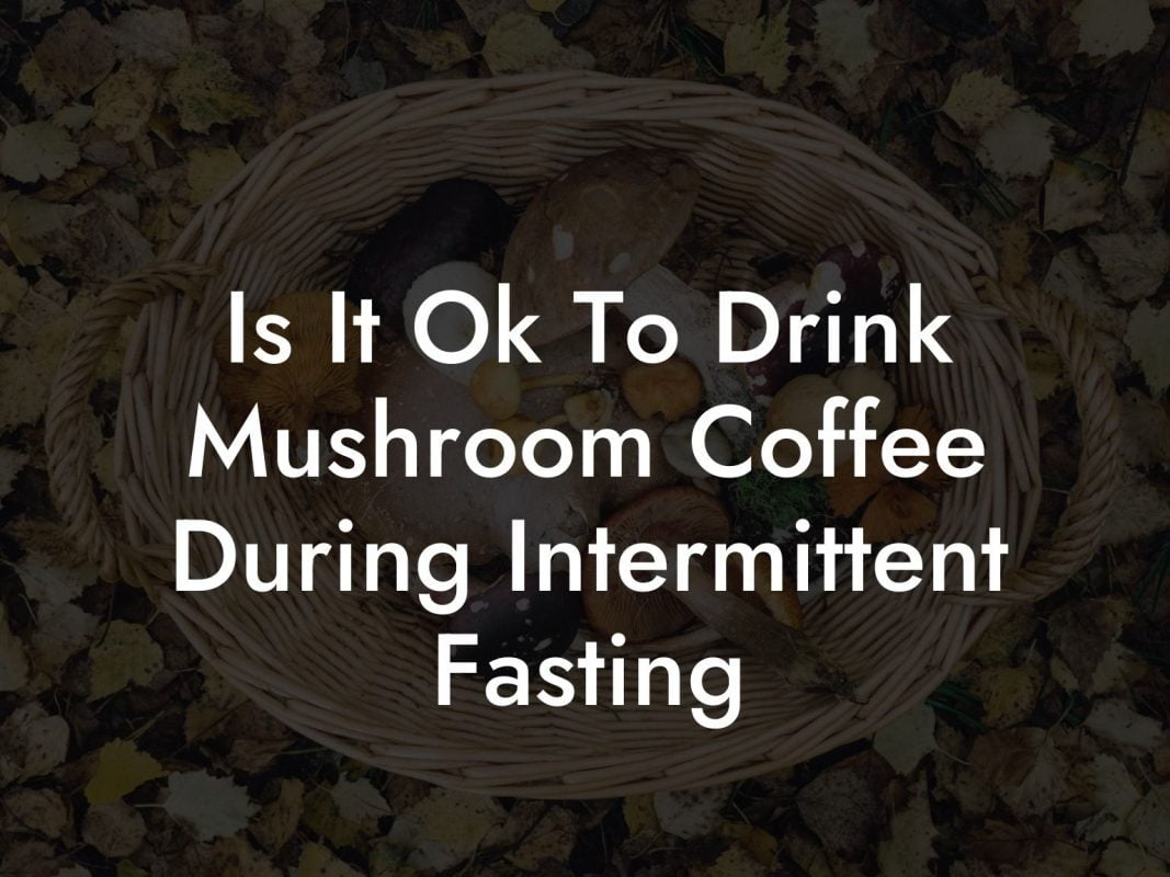 Is It Ok To Drink Mushroom Coffee During Intermittent Fasting