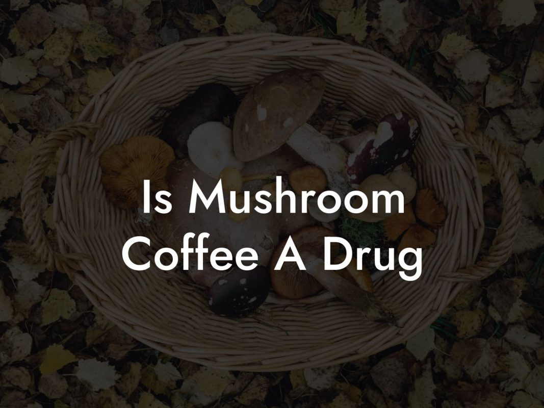 Is Mushroom Coffee A Drug